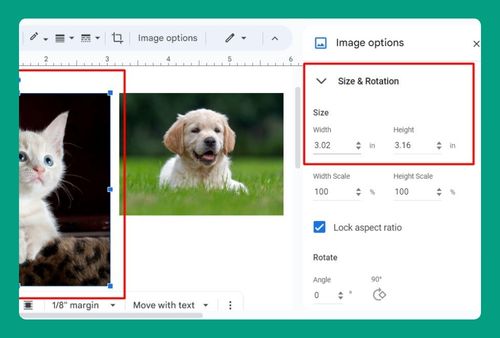 How to Put Images Side by Side in Google Docs (2024 Guide)