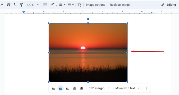 how to add captions to images in Google Docs