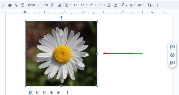 crop an image into a circle in Google Docs