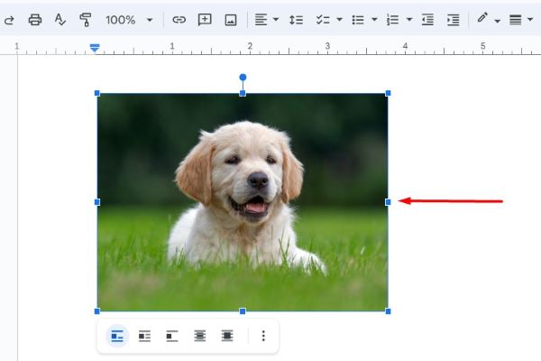 how to flip image in Google Docs