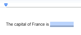 how to add a fill in the blank line in Google Docs