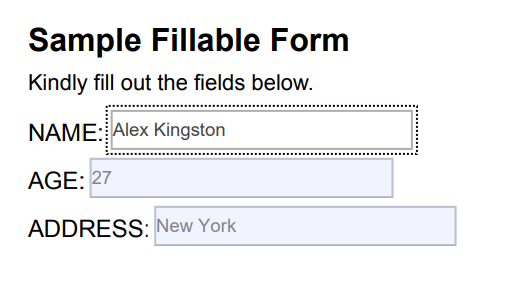 make a fillable PDF in Google Docs