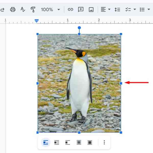 Google Docs bring image to front