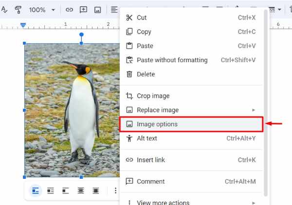 how to bring image to front in Google Docs