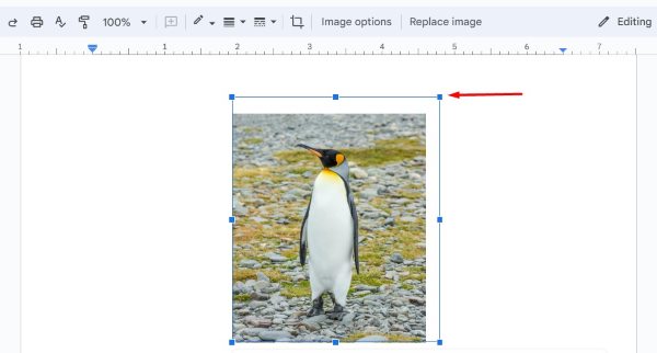 Google Docs move image to front