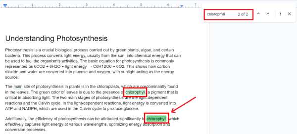 find words in google docs