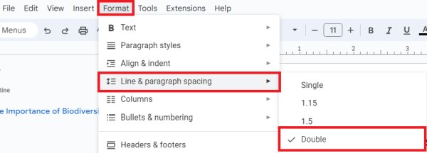 google docs words double space