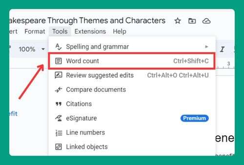 How to Find the Word Count on Google Docs (2024 Update)