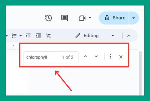 How to Find Certain Words in Google Docs (Easiest Way in 2024)