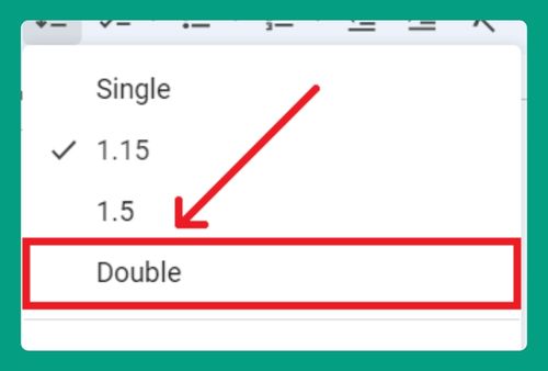 How to Add Double Space in Word on Google Docs (2024 Update)