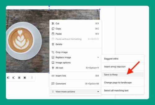 How to Download an Image From Google Docs (2024 Guide)