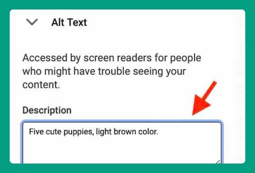 How to Add Image Description in Google Docs (Easiest Way in 2024)