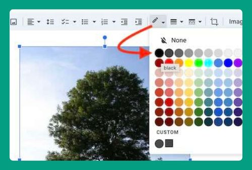 Add Border to Image on Google Docs (Easiest Way in 2024)