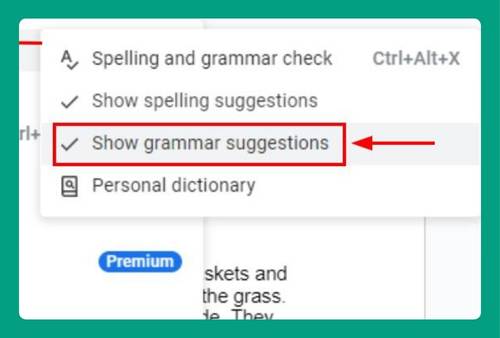 Google Docs Grammar Check (The Ultimate Guide for 2024)